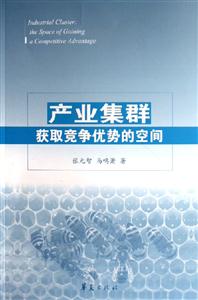 產(chǎn)業(yè)集群(獲取競爭優(yōu)勢的空間) 產(chǎn)業(yè)集群(獲取競爭優(yōu)勢的空間)