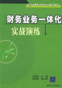 財(cái)務(wù)業(yè)務(wù)一體化實(shí)戰(zhàn)演練1CD 財(cái)務(wù)業(yè)務(wù)一體化實(shí)戰(zhàn)演練1CD