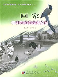 回家一只灰喜鵲受傷之后 回家一只灰喜鵲受傷之后