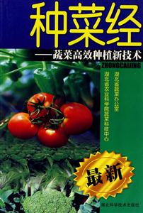 種菜經(jīng):蔬菜高效種植新技術(shù) 種菜經(jīng):蔬菜高效種植新技術(shù)