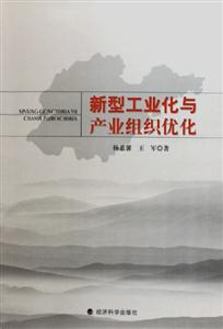 新型工業化與產業組織優化 新型工業化與產業組織優化