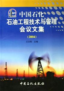 中國石化石油工程技術(shù)與管理會議文集(2004) 中國石化石油工程技術(shù)與管理會議文集(2004)