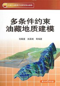 多條件約束油藏地質建模 多條件約束油藏地質建模