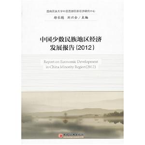 2012中國少數民族地區經濟發展報告