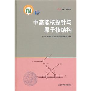 中高能核探針與原子核結構 中高能核探針與原子核結構