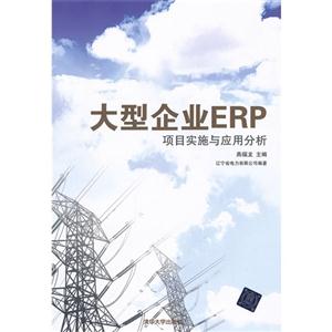 大型企業(yè)ERP項(xiàng)目實(shí)施與應(yīng)用分析 大型企業(yè)ERP項(xiàng)目實(shí)施與應(yīng)用分析