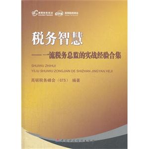 稅務智慧一流稅務總監的實戰經驗合集 稅務智慧一流稅務總監的實戰經驗合集