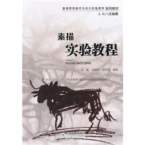 素描實驗教程 素描實驗教程