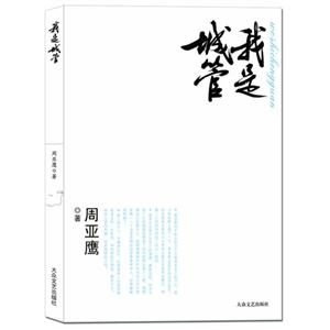 我是城管 我是城管