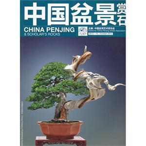 中國(guó)盆景賞石201210 中國(guó)盆景賞石201210