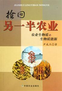撿回另一半農(nóng)業(yè)農(nóng)業(yè)生物質(zhì)與生物質(zhì)能源 撿回另一半農(nóng)業(yè)農(nóng)業(yè)生物質(zhì)與生物質(zhì)能源
