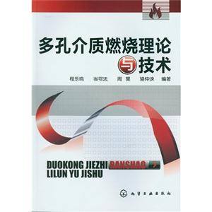 多孔介質(zhì)燃燒理論與技術(shù) 多孔介質(zhì)燃燒理論與技術(shù)