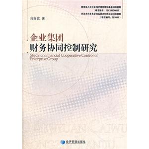 企業(yè)集團財務協(xié)同控制研究 企業(yè)集團財務協(xié)同控制研究