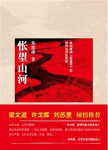 悵望山河 悵望山河